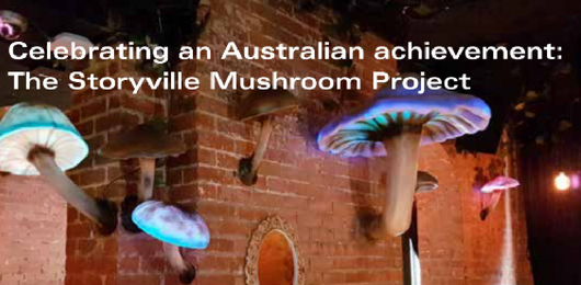 storyville mushroom project